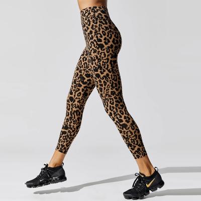 China Antibacterial Women's Leopard Print Fitness Yoga Wear Pants Gym Butt Lifting High Waist Tummy Control Tights Yoga Gaiters for sale