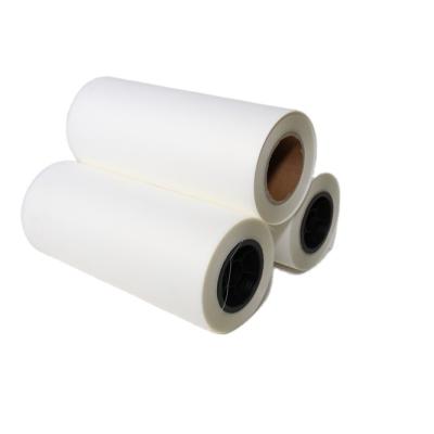 China Hot Selling Nice Color Heat Transfer PET Film Roll 0.6M*100M Clothes Fabric Printing Dtf For Sale for sale