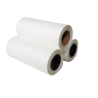 China China Manufacturer Nice Color 0.6M*100M Printable Vinyl Roll For Dtf Roll Pet Film For Sale for sale