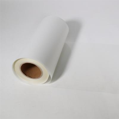 China High Quality Nice Color 1.2M*100M Clothes Printing Heat Transfer PET Film For Dtf Roll For Sale for sale