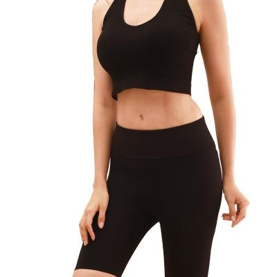 China Wholesale Sexy QUICK DRY Neck Crop Top Women's Sleeveless Breathable Workout Solid Color Lady Soft Tight Open Back Halter Yoga Sports Top for sale