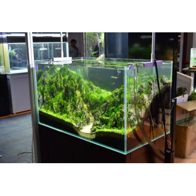 China Custom Viable Aquarium Fish Tank Acrylic Glass Box Aquarium, Small Fish Aquariums# for sale