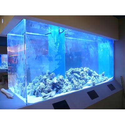 China Factory Direct Sale Good Quality Viable Acrylic Aquarium Tank,Acrylic Aquarium Tank With Customized Size@ for sale