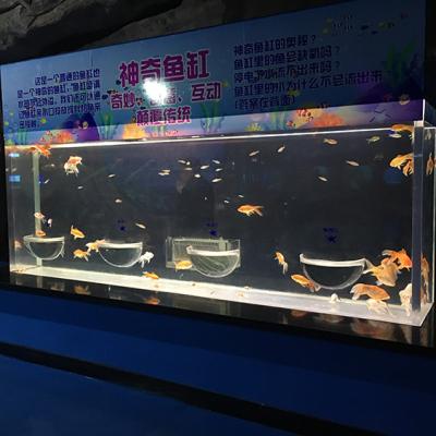 China Large Clear Rectangle Viable Customized Acrylic Fish Tanks for sale