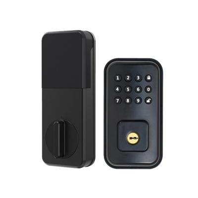 China Custom 4 AA Alkaline Battery Password Digital Luxury Door Lock Smart Lock A1 for sale