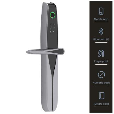 China Cheap price smart home door lock graffiti fingerprint password lock with Nfc connection D5 for sale