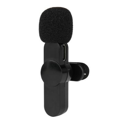 China Professional Handheld Karaoke Microphone Lavalier Wireless Type-C Mobile Phone Mini Microphone System For Camera for sale