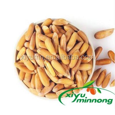 China Low fat dry organic sprockets/kernels for sale for sale