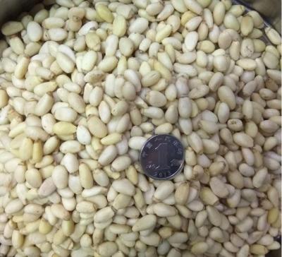 China Organic Chinese Food Deep Forest Pine Nuts In Shell Cultication Cheap Price for sale