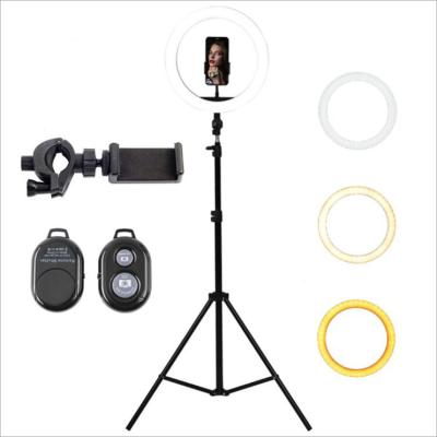 China Living Morden Mobile Phone Beauty Fill Light LED Ring Fill Light Set Ring Fill Light for sale