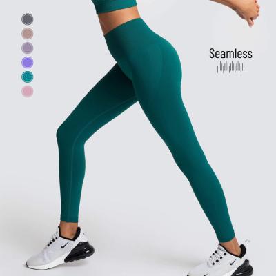 China Breathable Tik Tok Gym Clothing Yoga Leggings For Women One Piece Seamless Gaiters Nylon Gaiters for sale