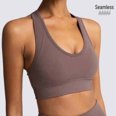 China Breathable Seamless Sports Bra Fitness Crop Top Workout Sports Bra Padded for sale