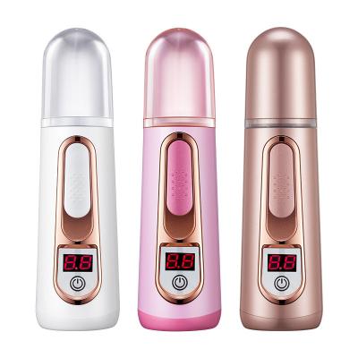 China 3In1 Household Nano Facial Steamer Mister Skin Test Mist Sprayer Skin Moisture Meter Power Bank USB Facial Steamer Humidifier for sale