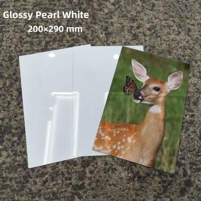 China Sparkling Glossy Surface Covered Protective Film White Gloss Aluminum Metal Sheet Sublimation for Thermal Transfer Printing for sale