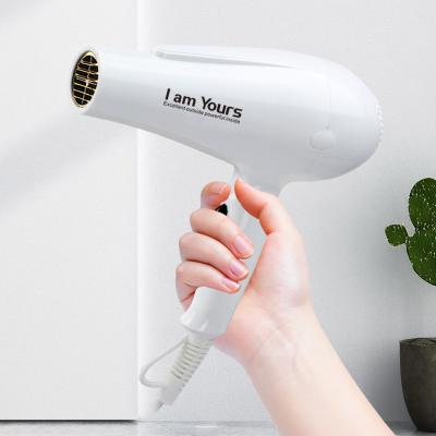 China Professional Ionic Hair Dryer Wholesale Quality Professional Handle Blow Fan Hair Dryer DC Motor for sale