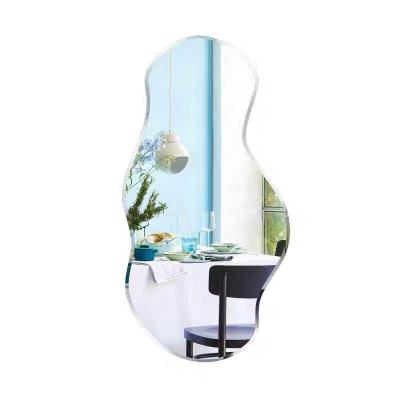 China SWT Decorative Irregular Shape Bathroom Mounted Wall Mirror Nordic Korean Mirror for sale