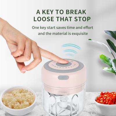 China Amazon Viable Success Electric Vegetable Usb Food Onion Crusher Garlic Filling Cleaver for sale