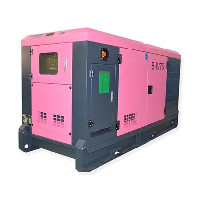 China 40 KVA low rpm genset diesel generator price PF-IV44S home standby generator 40kva for sale