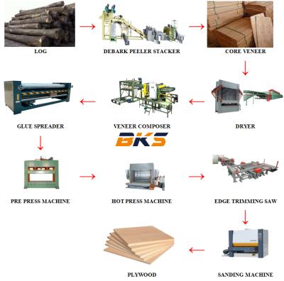 China Factory 1220X2440mm Plywood Production Line All Set Plywood Making Equipment Machine for sale