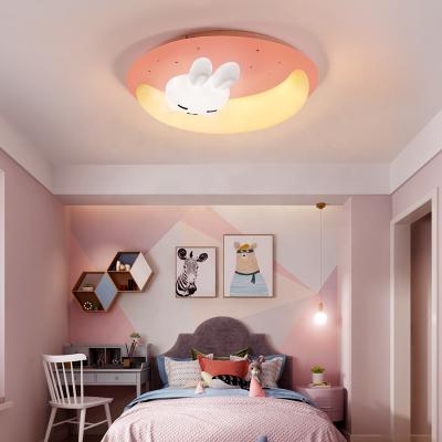 China Wholesale High Quality Surface Mounted Led Decoration Cartoon Animals Ceiling Light For Kids Bedroom for sale