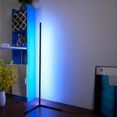 China Lighting Functions Floor Lamp, Position Lamp, Corner LED Floor Lamp With Retome Control for sale