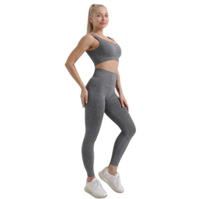 China Wholesale Breathable Ladies Gym Sports Wear Quick Drying Suit Sports Bra Fitness And Yoga Wear Seamless Set for sale