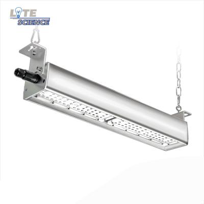 China Warehouse IP65 led linear high bay, 4000K/5000K/5700K, 135LM/W, 7 years warranty for sale