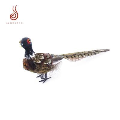 China Other beautiful high quality natural feather pheasant for garden decoration for sale