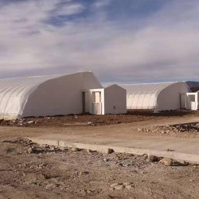 China Chinese Affordable Vegetable Tunnel Hot Dipped Galvanized Passive Solar Agricultural Greenhouses for sale