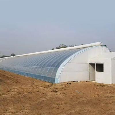 China Commercial Greenhouse Agriculture Winter Passive Vegetable Insulated Solar Greenhouse for sale