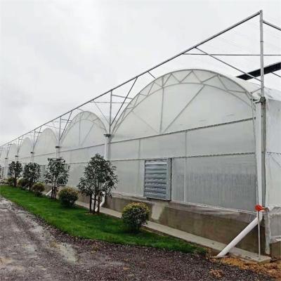 China Stable Structure Easily Assembled Baolida Greenhouse Greenhouse Cheap Double Layer Plastic Film Customized Multispan Greenhouse for sale