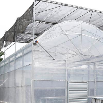 China Stable structure easily assembled BAOLIDA invernadero de invernadero de steel frame double doble galvanized film greenhouse for sale