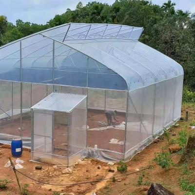 China Vegetable Single Span Plastic Film Tropical Cross Top Ventilation Sawtooth Greenhouse for sale