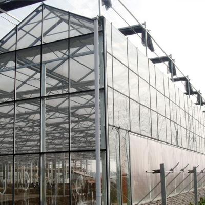 China Stable Structure Easily Assembled Commercial Horticultural Delta Venlo Low Cost Beautiful Tomato Glass Greenhouse With Long Life For Sale for sale