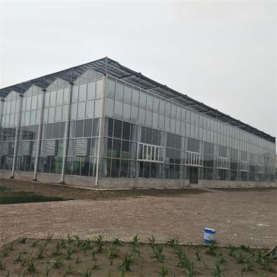 China Stable Structure Easily Assembled Professional Outdoor Multispan Glass Dutch Greenhouse Industrial Glass Agriculture Flower Greenhouse For Flower Planting for sale