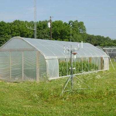 China Hot Sale Cheap Farm Easily Assembled Portable Greenhouse For Sale for sale