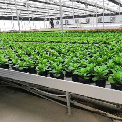 China Movable Customized Nursery Tray Greenhouse Table Seedling Hydroponic Ebb and Flow Rolling Growing Bench for sale