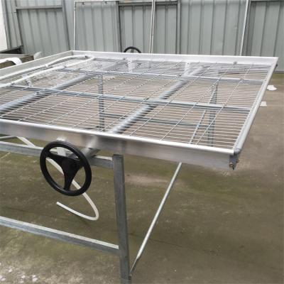 China Movable Wholesale Plastic Tray Rolling Machine Gardening Bench For Vegetable for sale