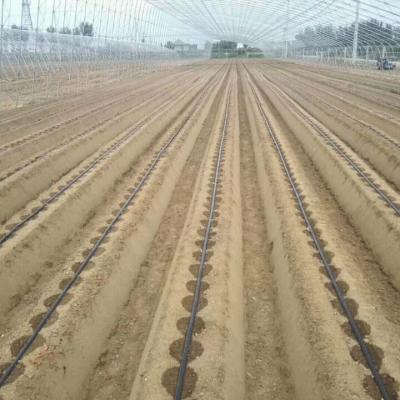 China Easy Low Price PE Drip Pipe Easy Irrigation For Greenhouse for sale