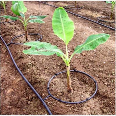 China Easy Growing Drip And Low Cost Suction Irrigation System for sale