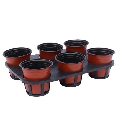 China Modern double color plant pot nursery transplant flower two color seedling plastic pots for garden farm for sale