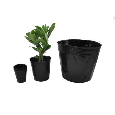 China Modern Nursery Pots Nursery Pots Nursing Dish Nursery Pot Nursery Pot Nutrition Cup Black Plastic Cheap Seedling Cup for sale