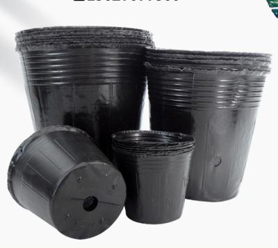 China Modern Easy To Move Soft Hand Nutrition Agriculture Pot Prices Disposable Black Plastic Flower Plant Nursery Grow Pots for sale