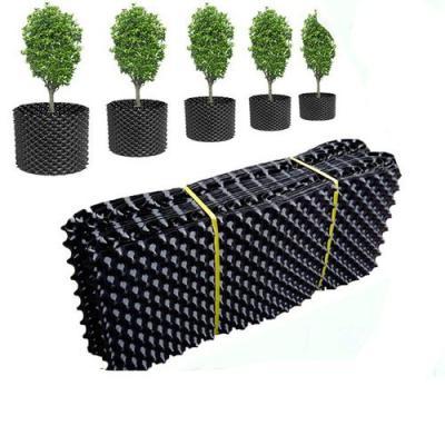 China Modern Plastic Plant Root PVC PET Growth Container Pot Quick Controller Air Pruning Pot For Outdoor Tree for sale