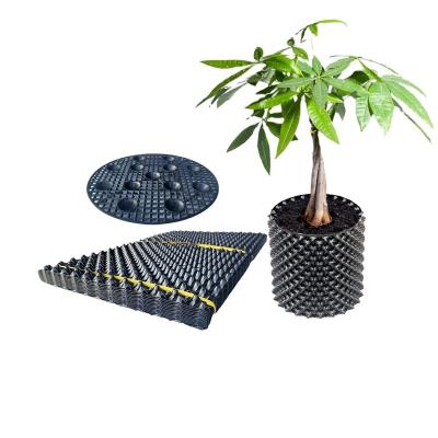 China Modern PVC PET Garden Supplies Hydronic Air Pruning Nursery Pot Gallon Air To Grow Pots for sale