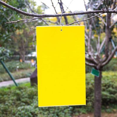 China Disposable Outdoor Blue Yellow Paper Glue Fly Trap Mosquito Catcher Fly Board Glue Fruit Fly Sticky Trap for sale