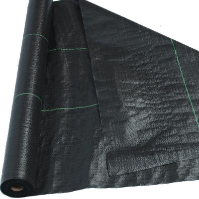 China Plastic Grass Control PP Woven Garden Cloth Mulch Weed Mats For Garden Vegetable Weed Control for sale