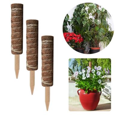 China Stackable Plant Wooden Support Garden Climbing Thicken Cocos Totem Stick Moss Pole for sale