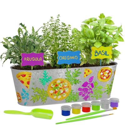 China Paintable Home Gardening Kids DIY Flower Metal Pot Grow Plant Set Paintable Bonsai Kit Indoor Grow Kits for sale