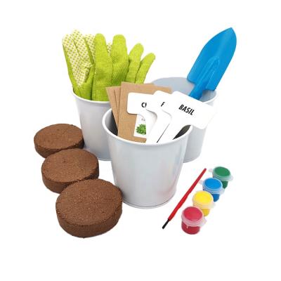 China Kids DIY Box Plant Pot Garden Metal Plant Pot Kids Grow Kit DIY Herb Plant Growing Kit Indoor Paintable Plant for sale